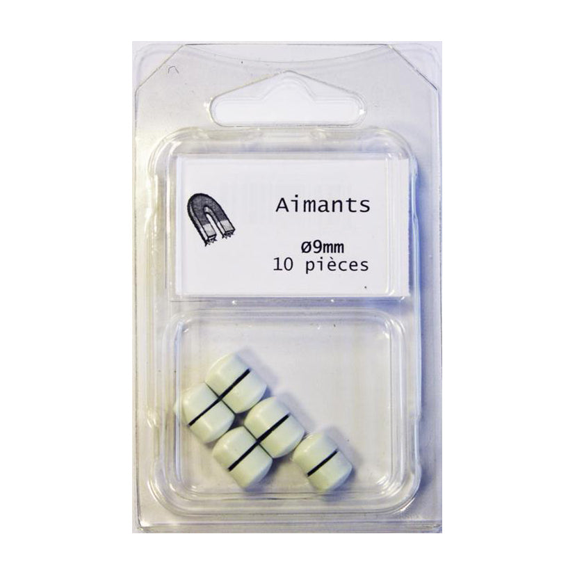 Lot de 10 aimants blanc