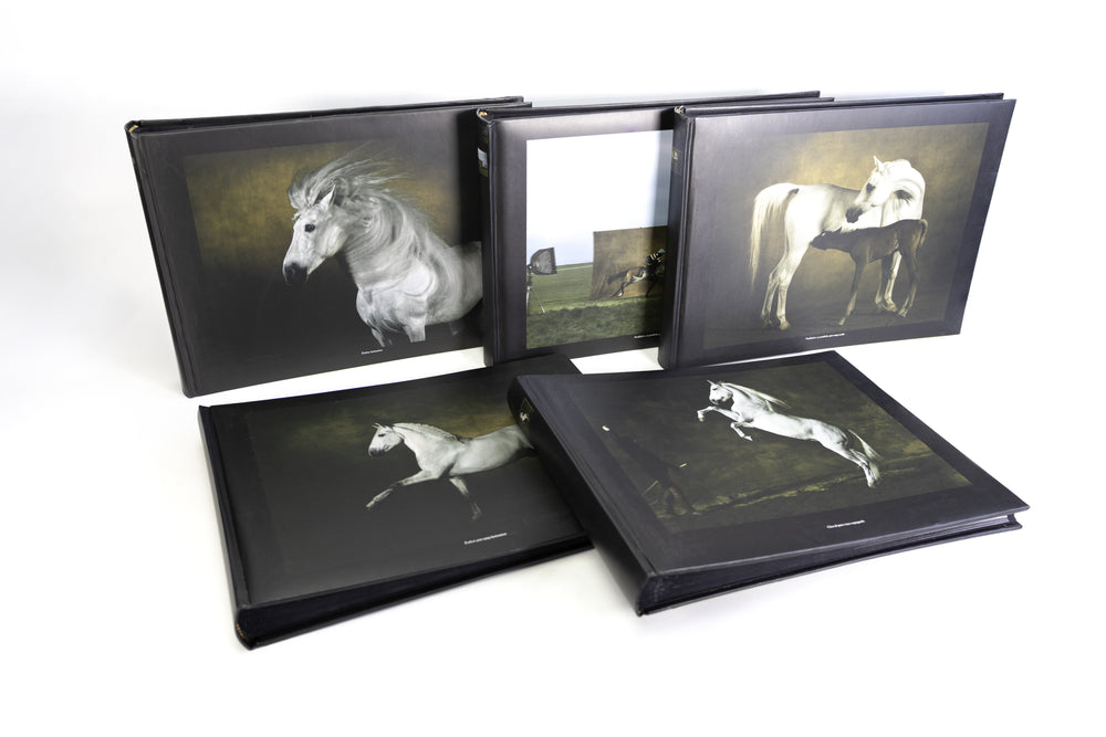 Albums photo Chevaux de Yann Arthus-Bertrand