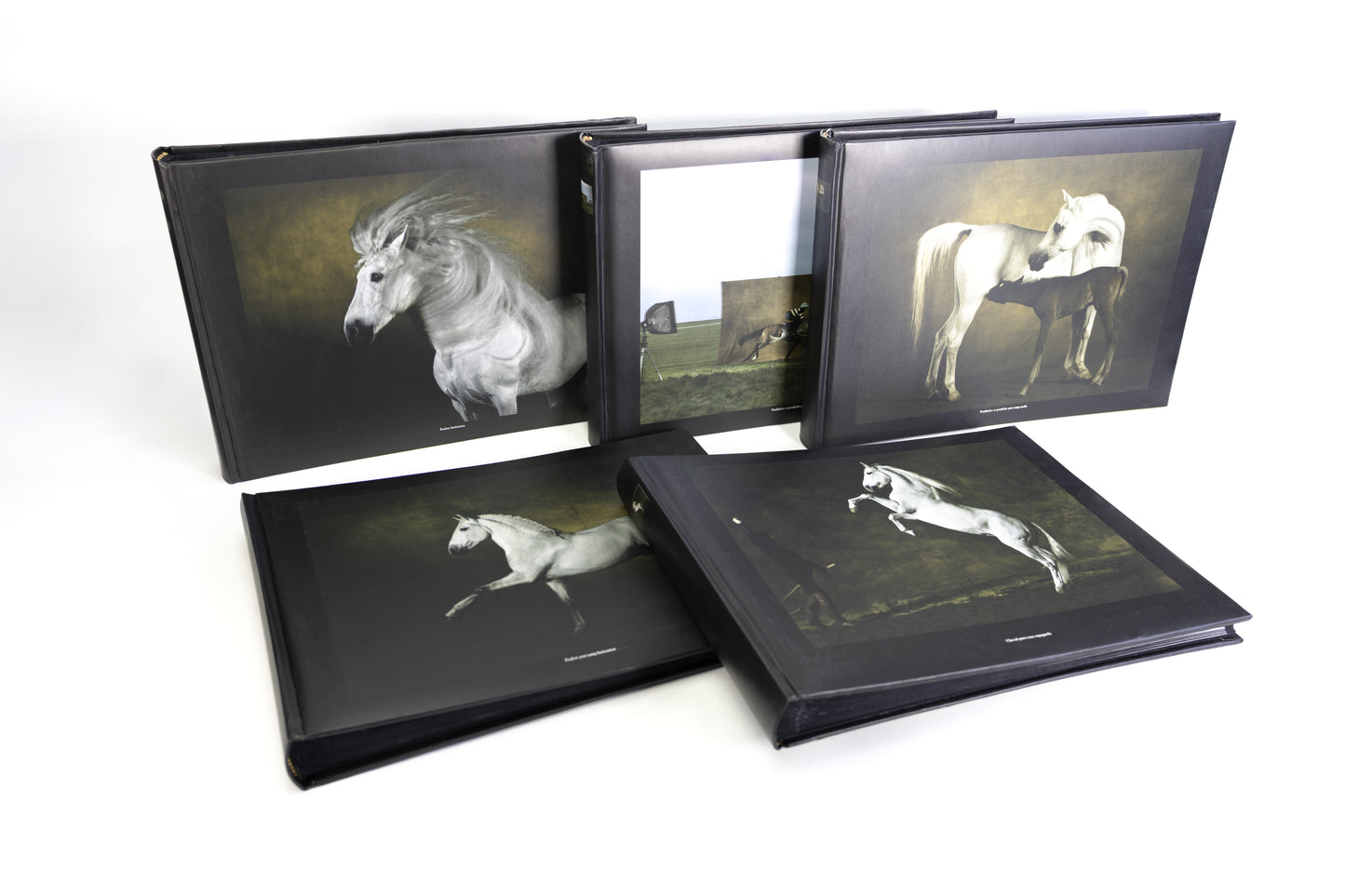 Albums photo Chevaux de Yann Arthus-Bertrand