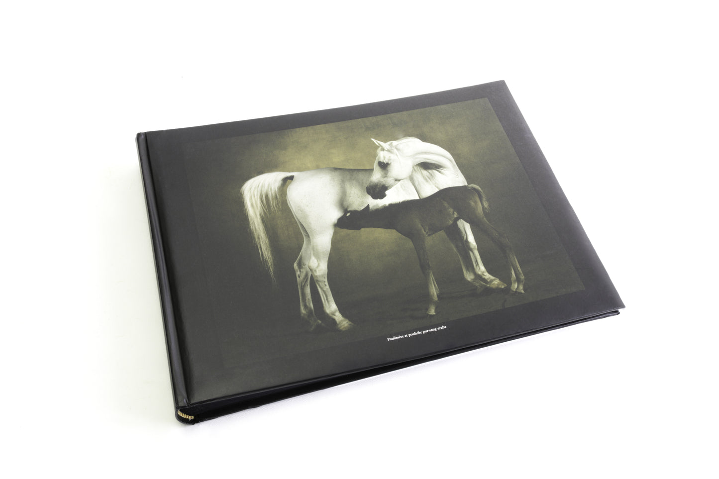 Albums photo Chevaux de Yann Arthus-Bertrand