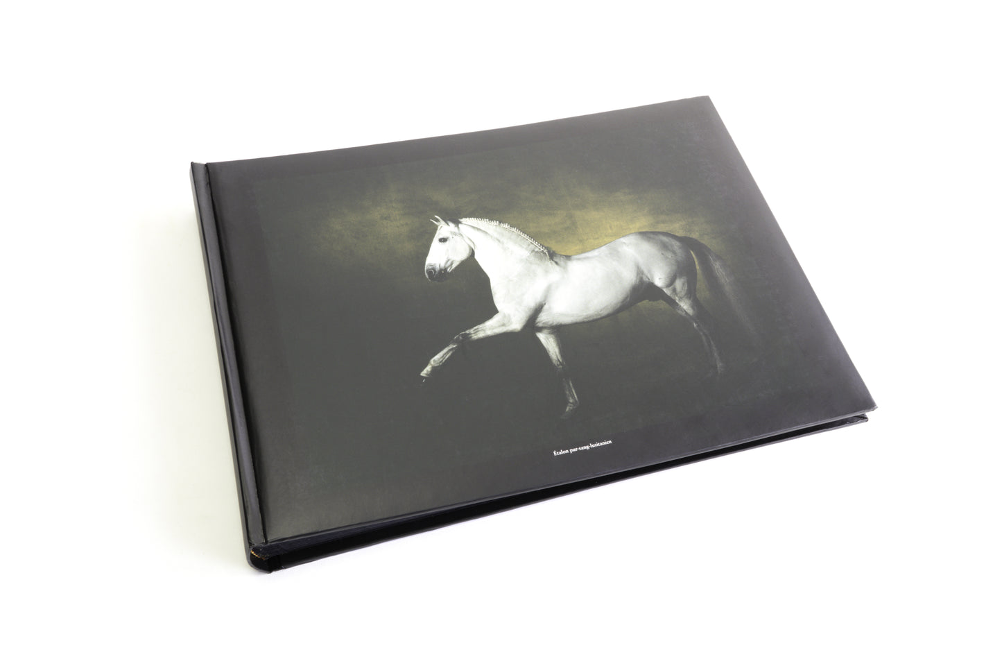 Albums photo Chevaux de Yann Arthus-Bertrand