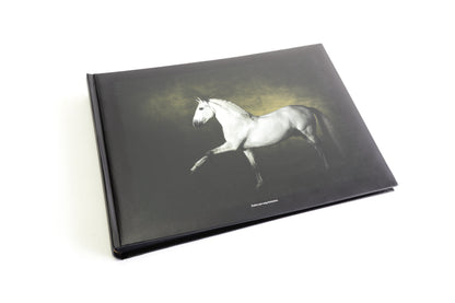 Albums photo Chevaux de Yann Arthus-Bertrand