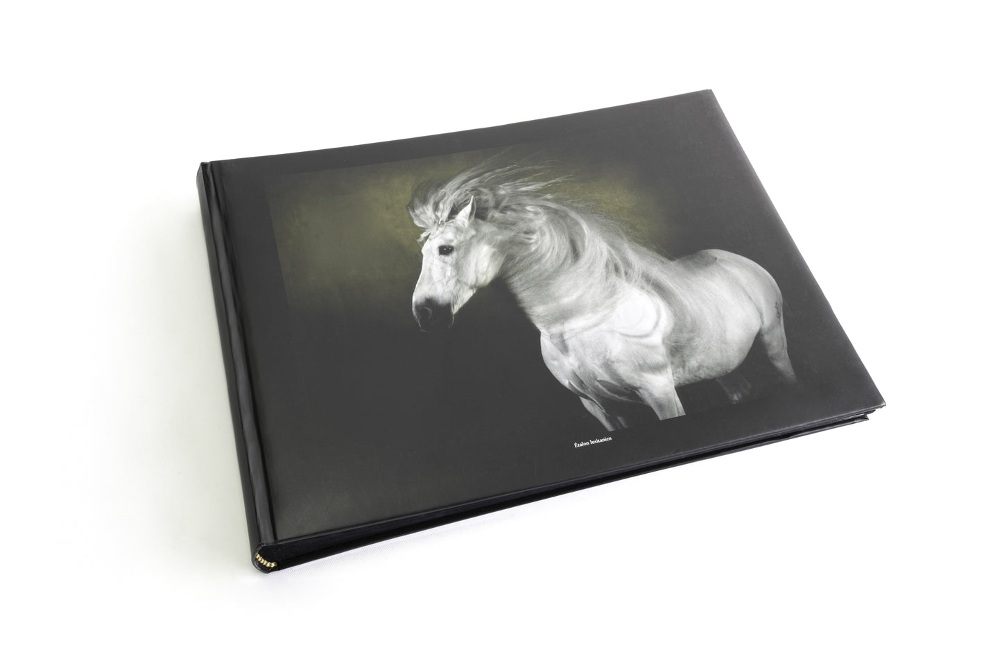 Albums photo Chevaux de Yann Arthus-Bertrand