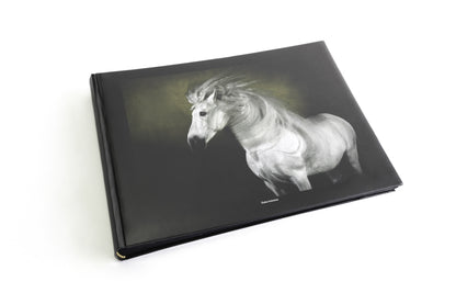 Albums photo Chevaux de Yann Arthus-Bertrand