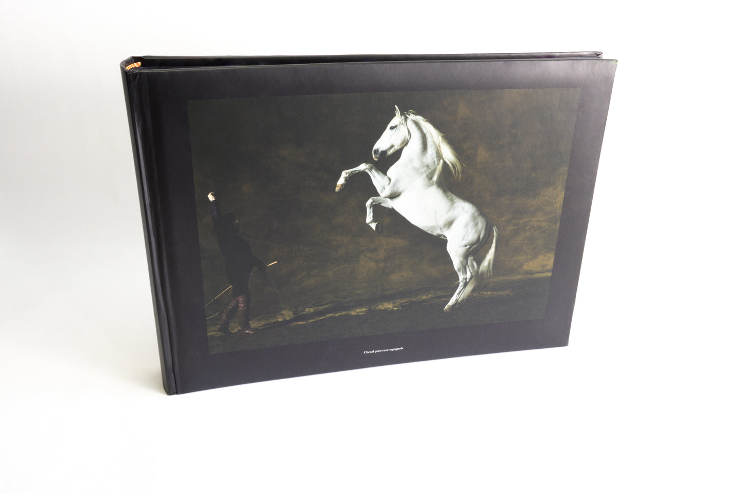 Albums photo Chevaux de Yann Arthus-Bertrand