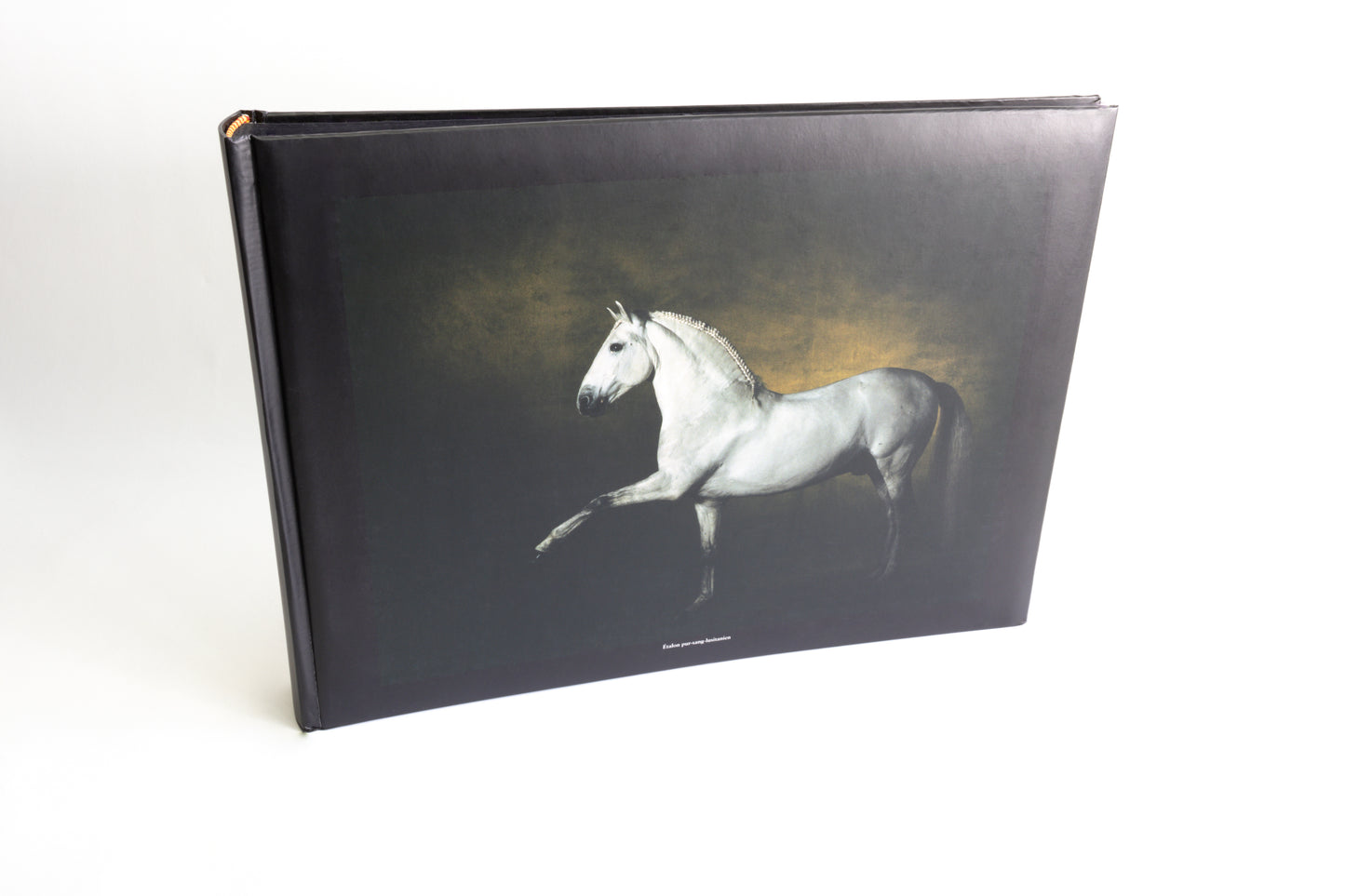Albums photo Chevaux de Yann Arthus-Bertrand
