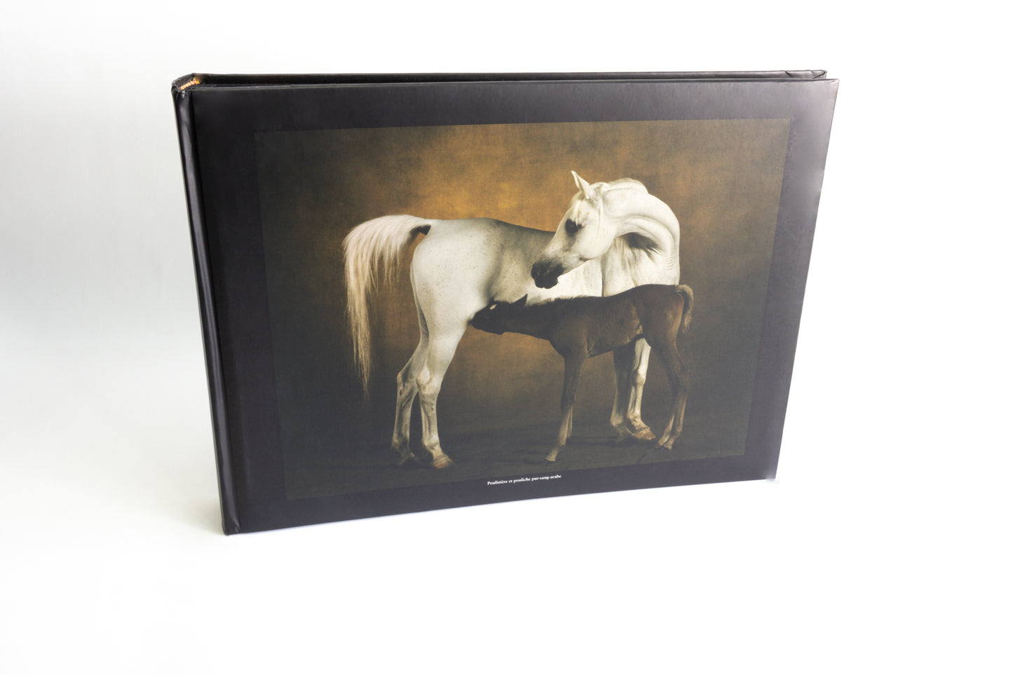 Albums photo Chevaux de Yann Arthus-Bertrand