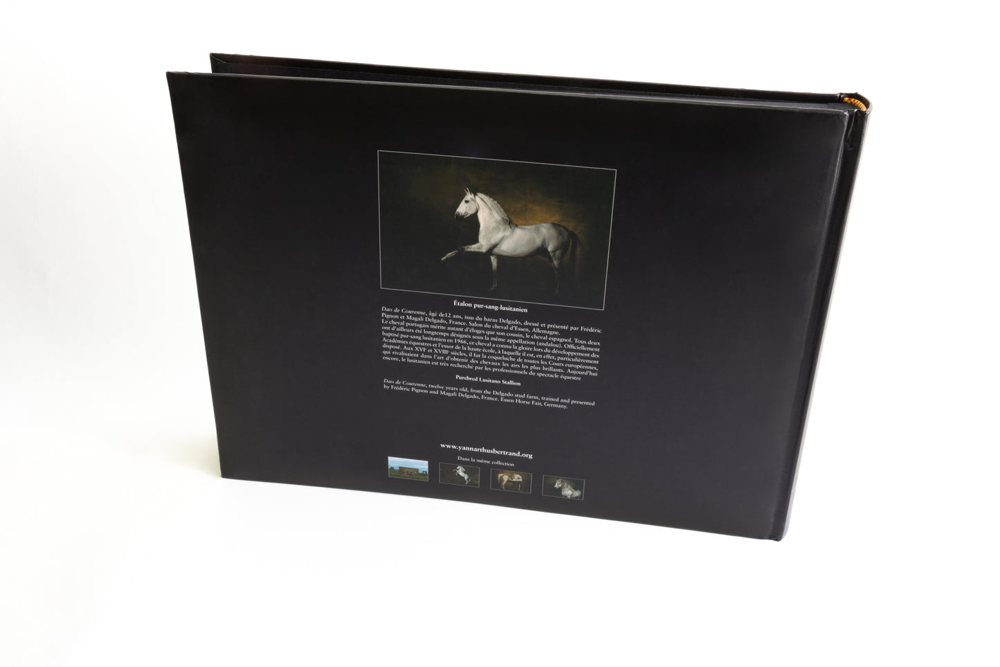 Albums photo Chevaux de Yann Arthus-Bertrand