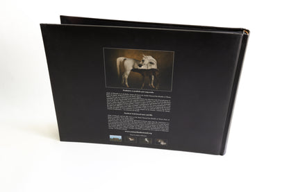 Albums photo Chevaux de Yann Arthus-Bertrand