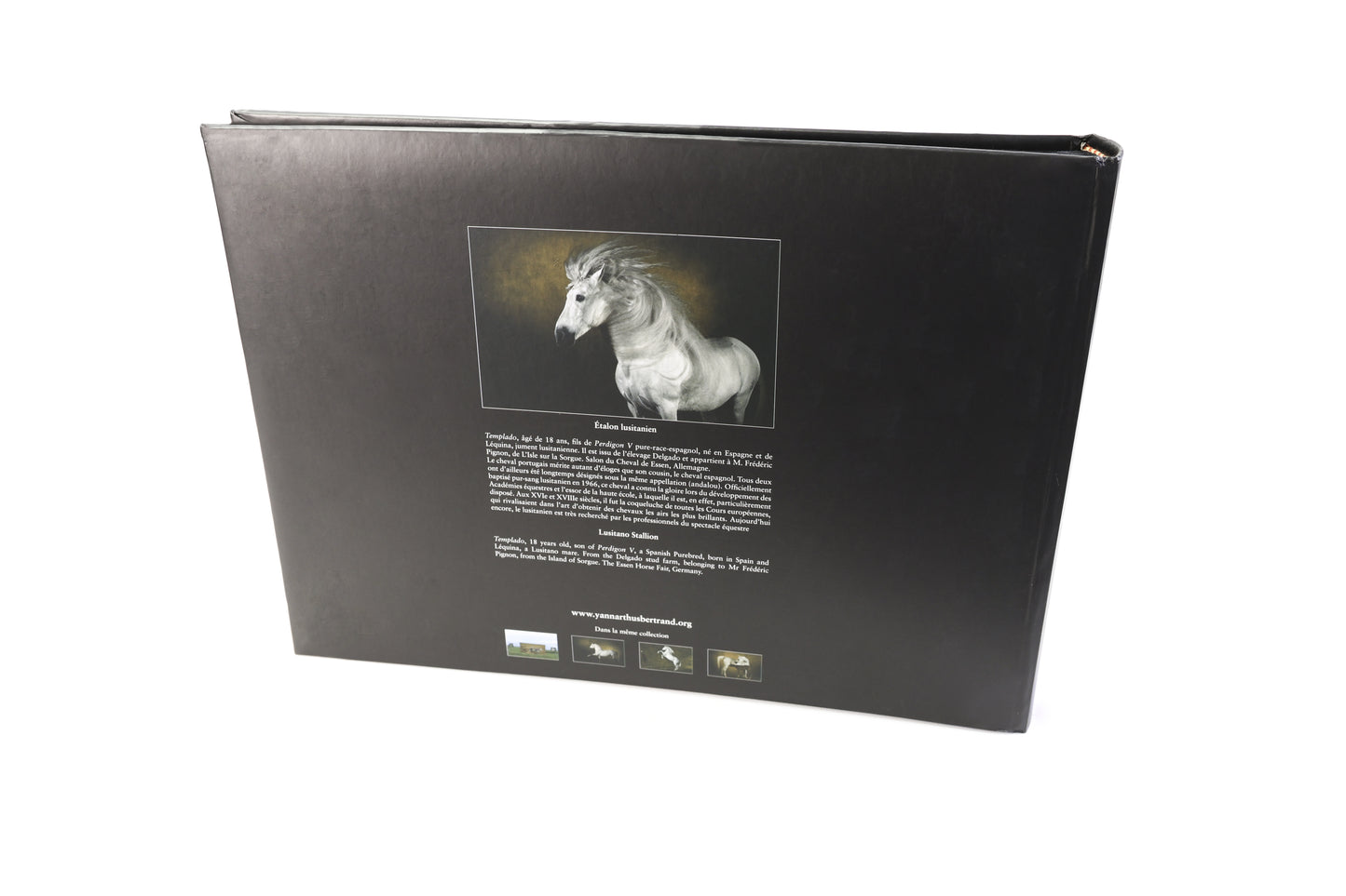 Albums photo Chevaux de Yann Arthus-Bertrand